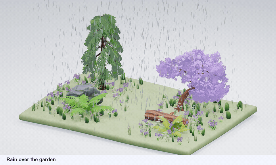 Rain